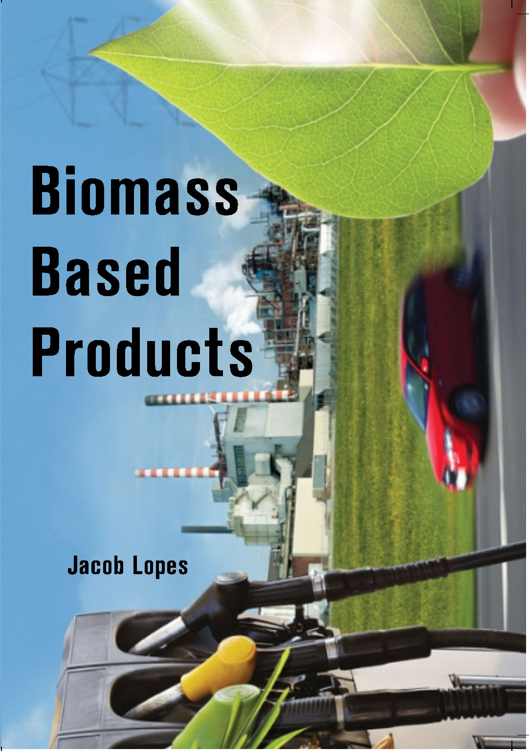 Biomass Based Products