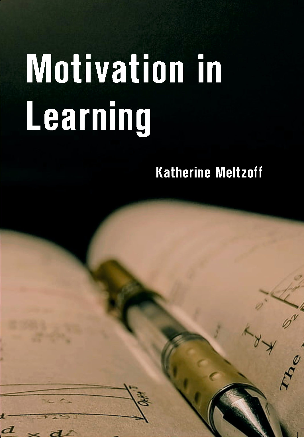 Motivation in Learning