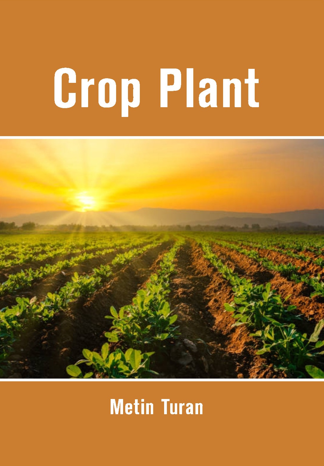 Crop Plant