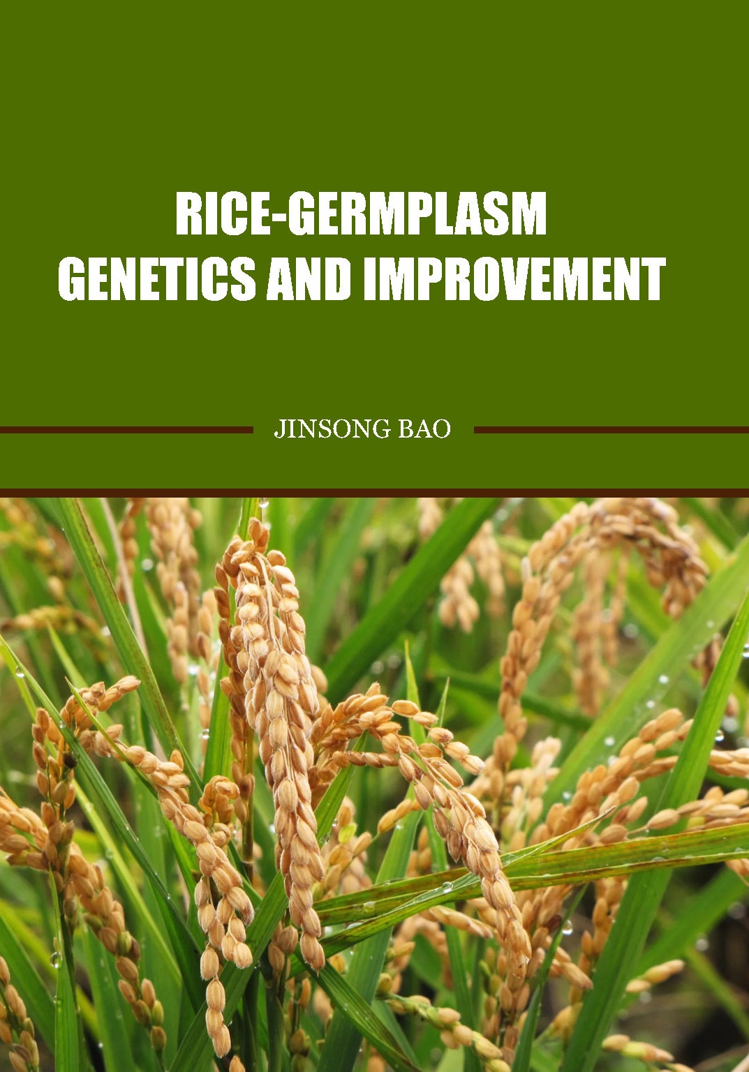 Rice - Germplasm, Genetics and Improvement